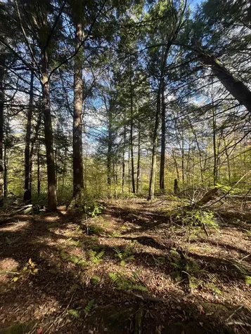 720 Bat Hennessy Road Moretown VT 05660