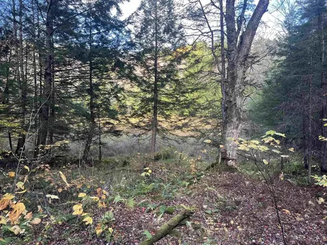 720 Bat Hennessy Road Moretown VT 05660