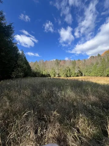 720 Bat Hennessy Road Moretown VT 05660