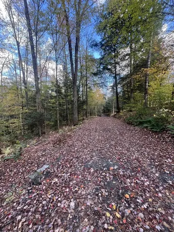 720 Bat Hennessy Road Moretown VT 05660