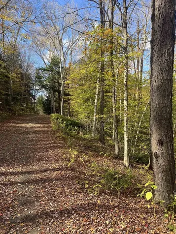 720 Bat Hennessy Road Moretown VT 05660