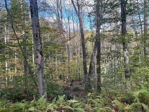 720 Bat Hennessy Road Moretown VT 05660