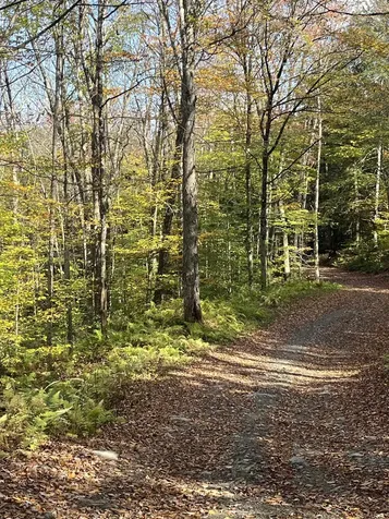 720 Bat Hennessy Road Moretown VT 05660