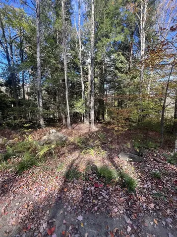 720 Bat Hennessy Road Moretown VT 05660