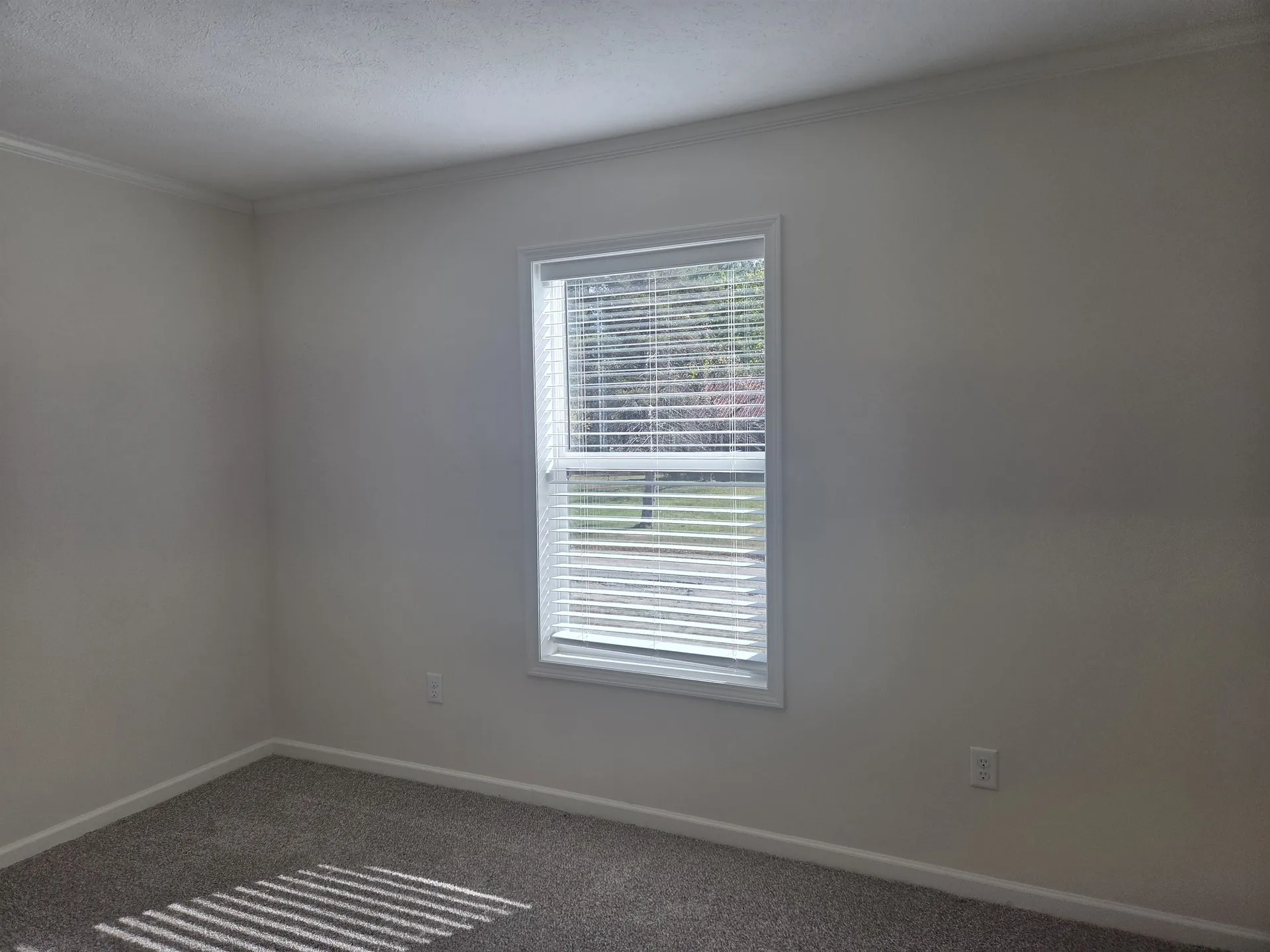 51 Turkey Jim Road Campton NH 03223