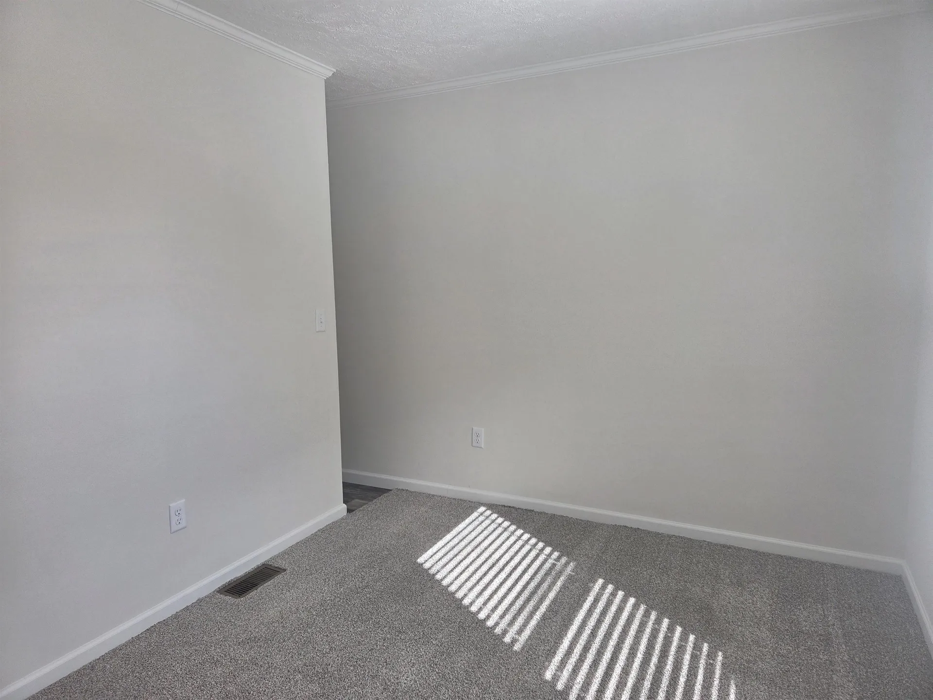 51 Turkey Jim Road Campton NH 03223