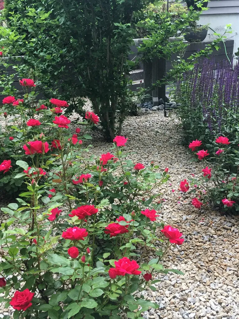 26 Seasons Lane Londonderry NH 03053