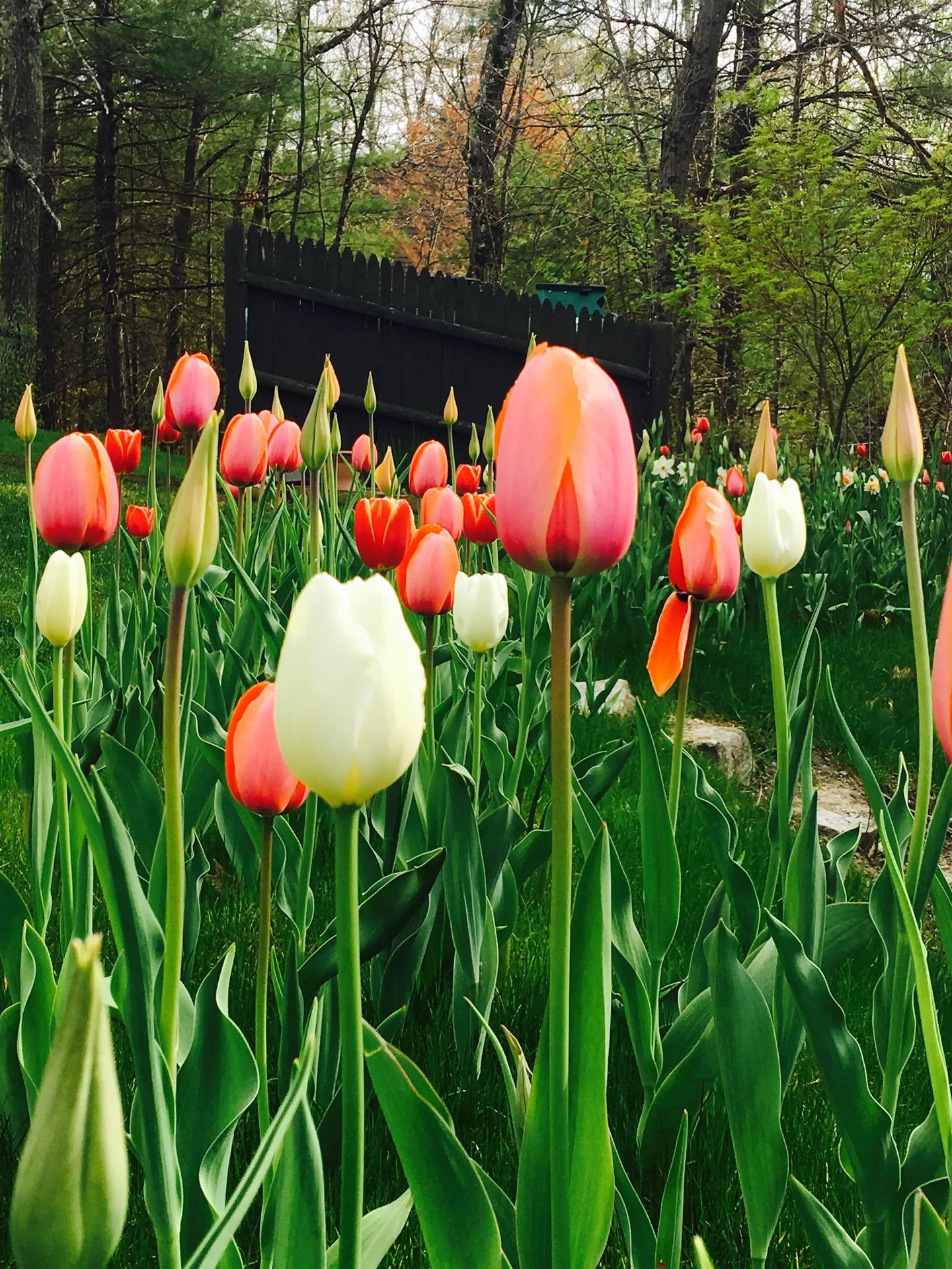 26 Seasons Lane Londonderry NH 03053