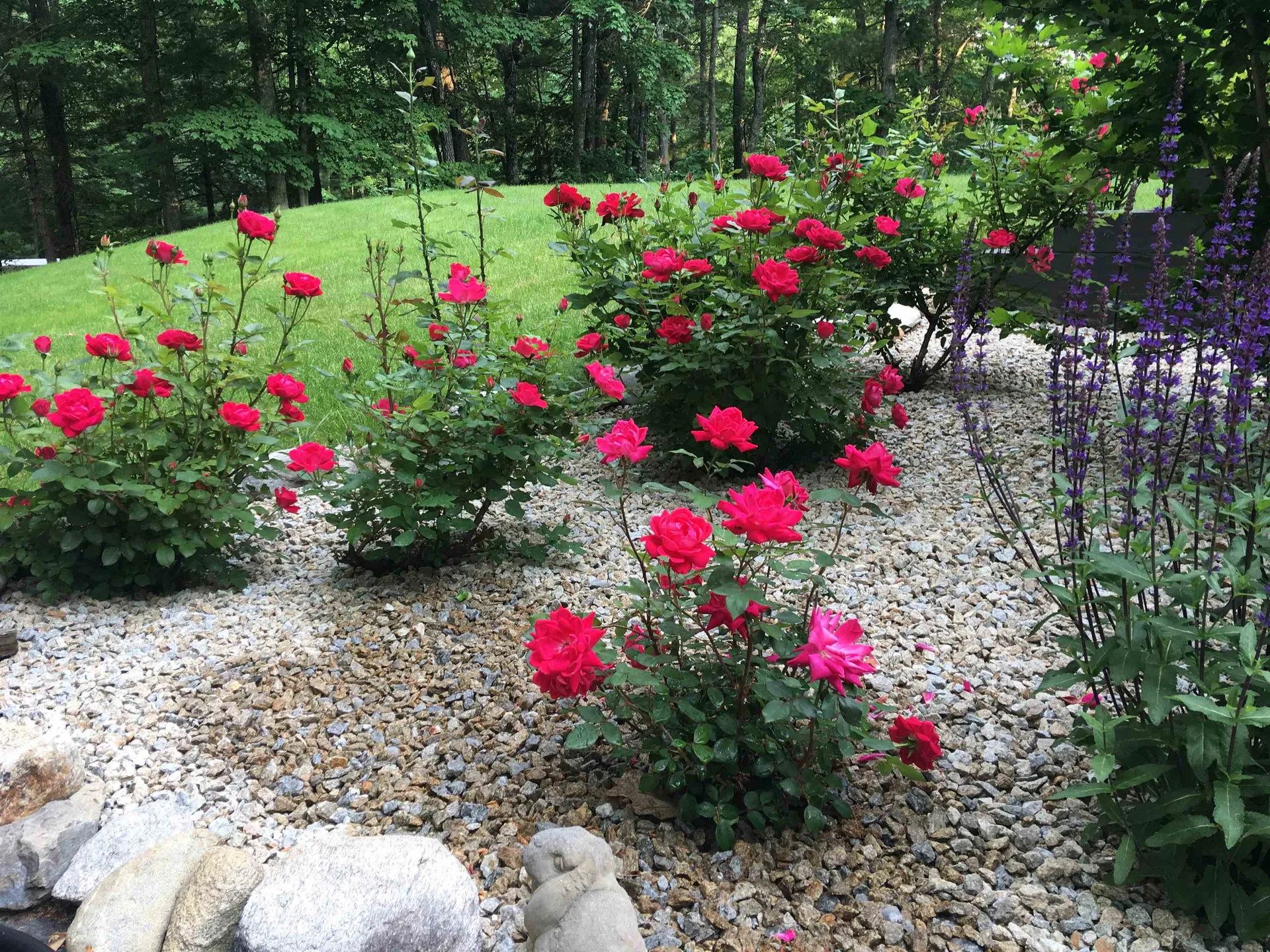 26 Seasons Lane Londonderry NH 03053