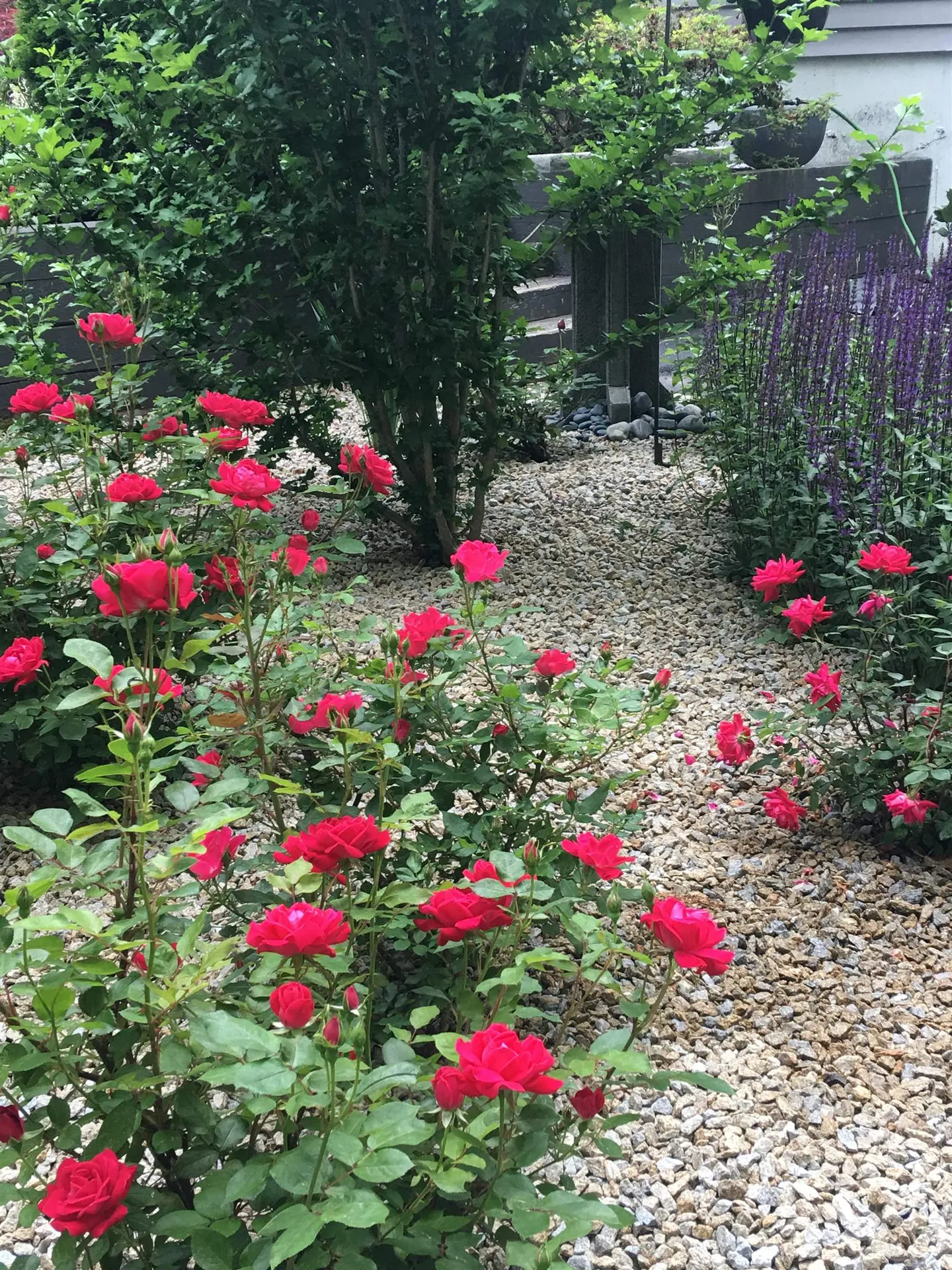 26 Seasons Lane Londonderry NH 03053