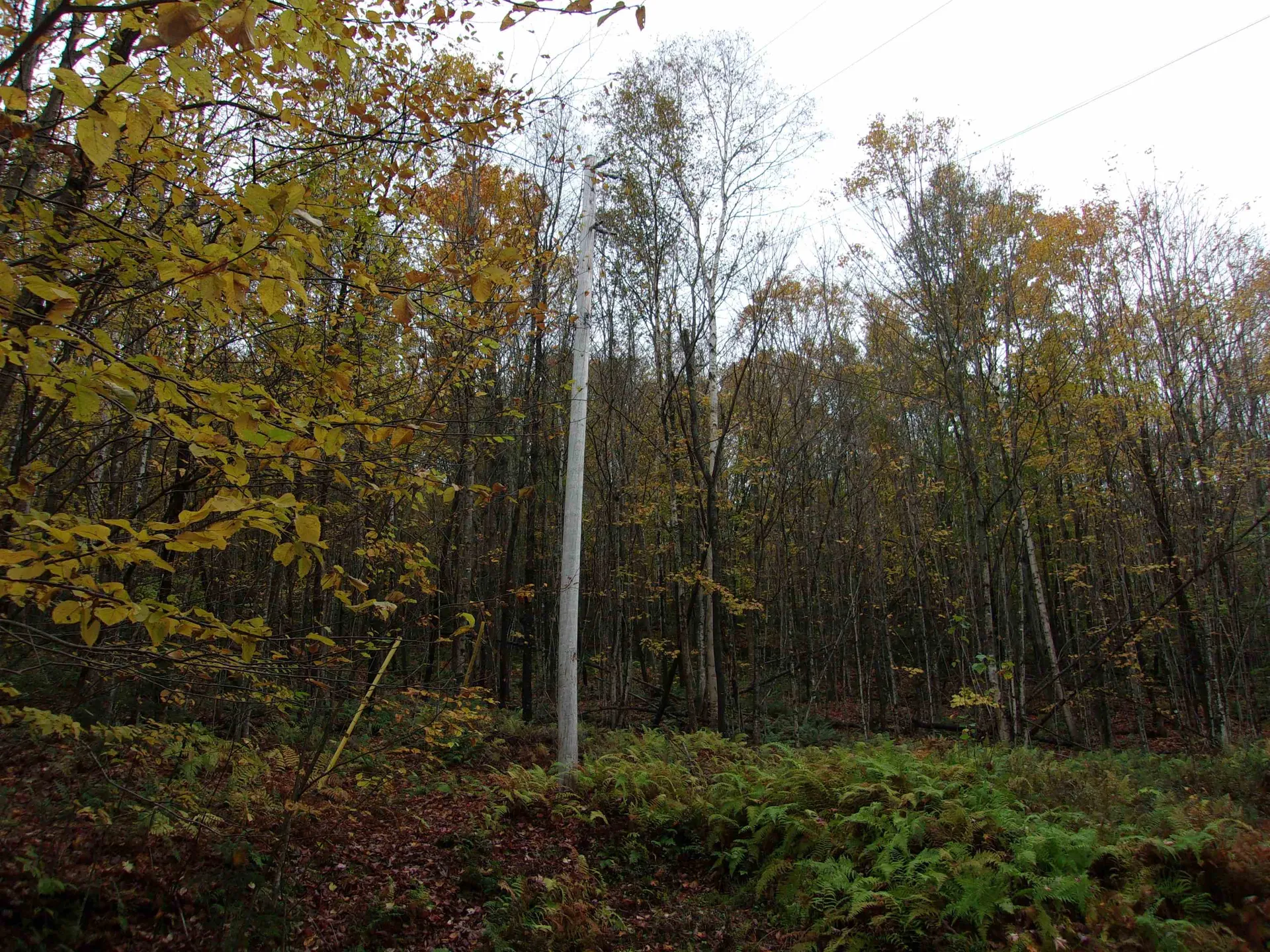 0 Foliage Lane Westmore VT 25822