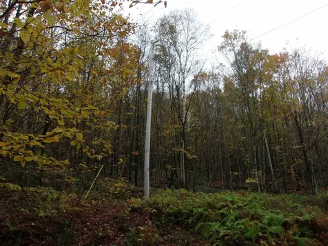 0 Foliage Lane Westmore VT 25822