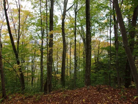 0 Foliage Lane Westmore VT 25822