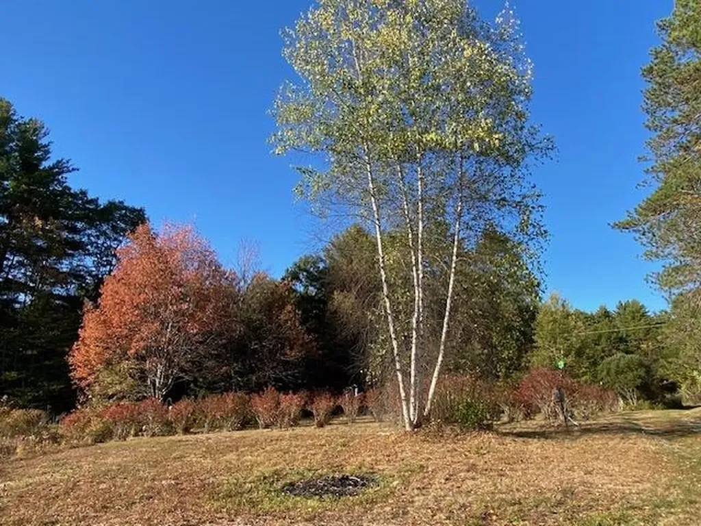 44 Pleasant View Road Bradford NH 03221