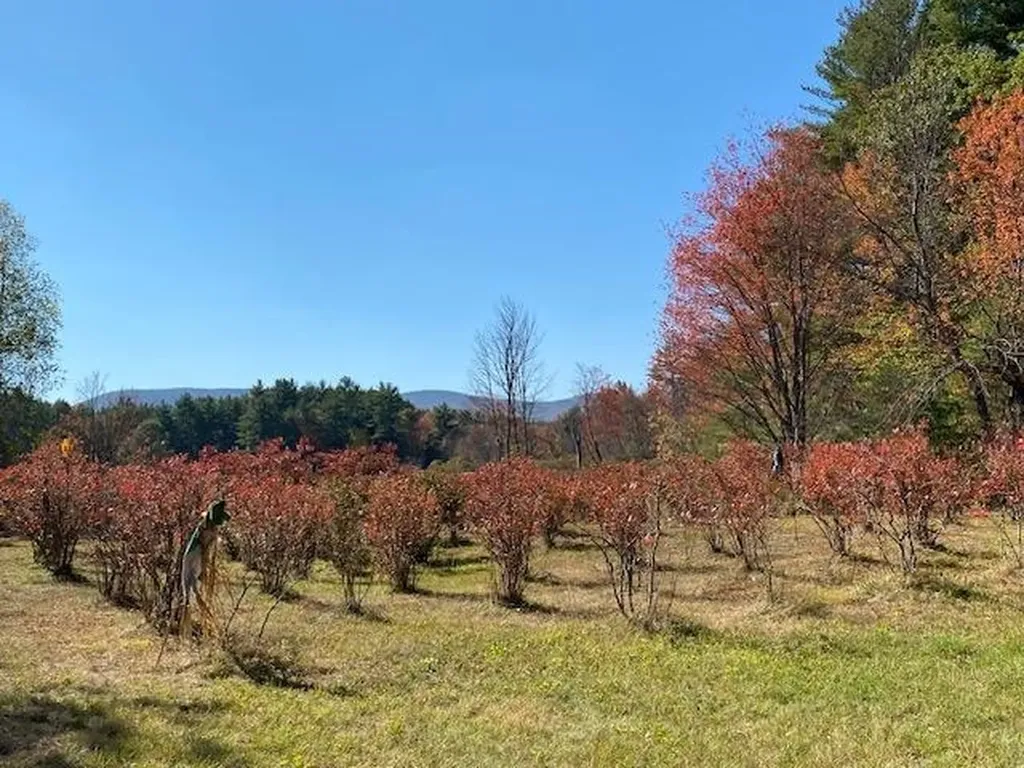 44 Pleasant View Road Bradford NH 03221