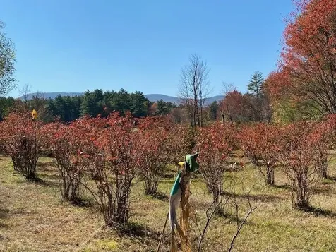 44 Pleasant View Road Bradford NH 03221