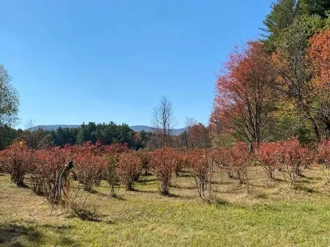 44 Pleasant View Road Bradford NH 03221