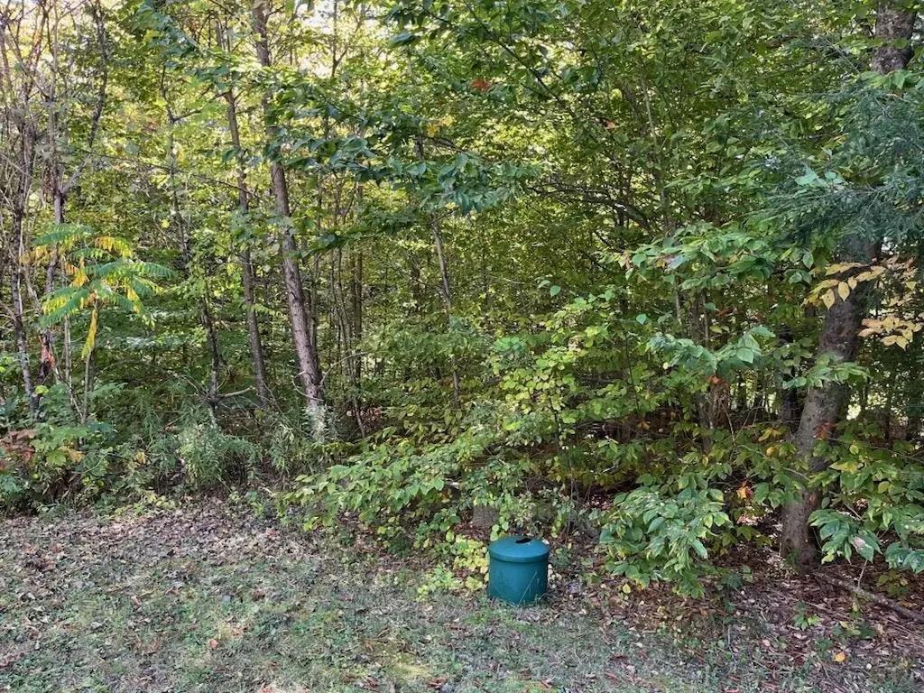 114 Colebrook Road Arlington VT 05252