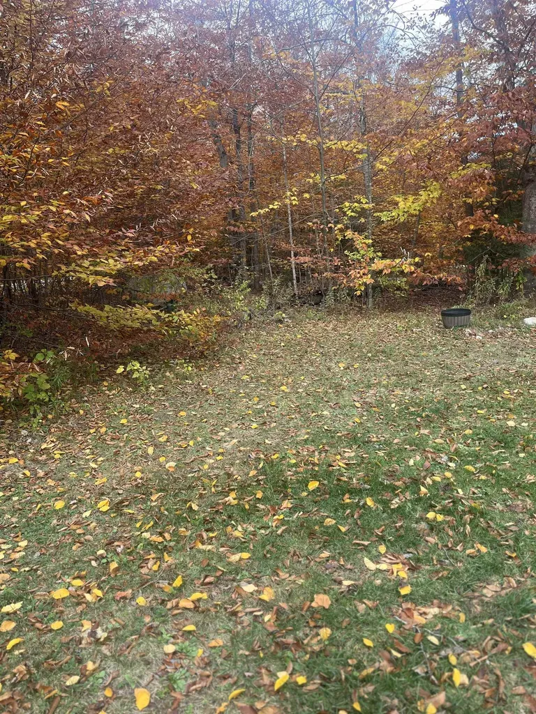 114 Colebrook Road Arlington VT 05252