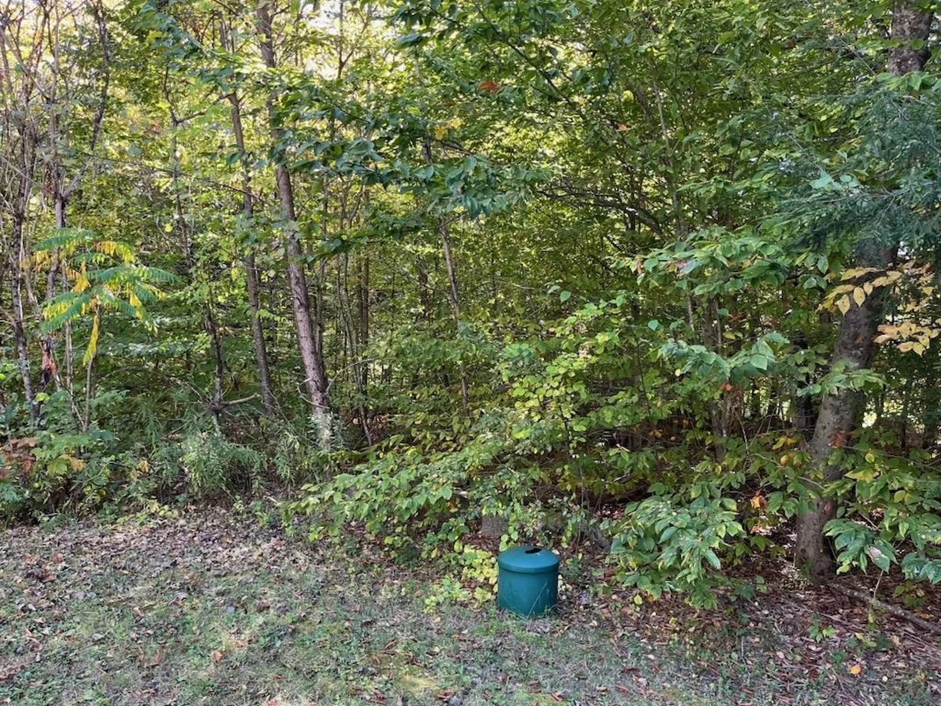 114 Colebrook Road Arlington VT 05252