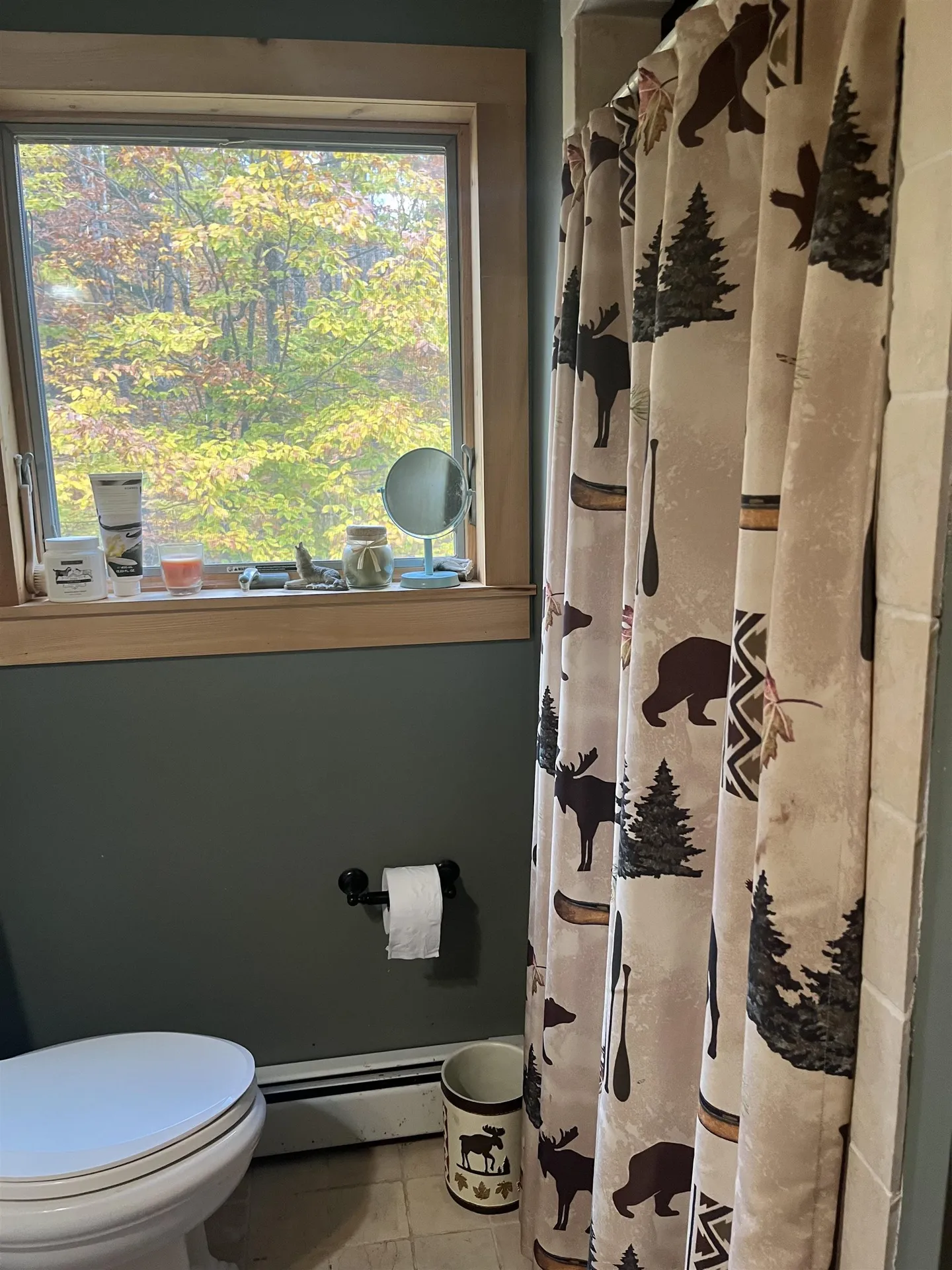 114 Colebrook Road Arlington VT 05252