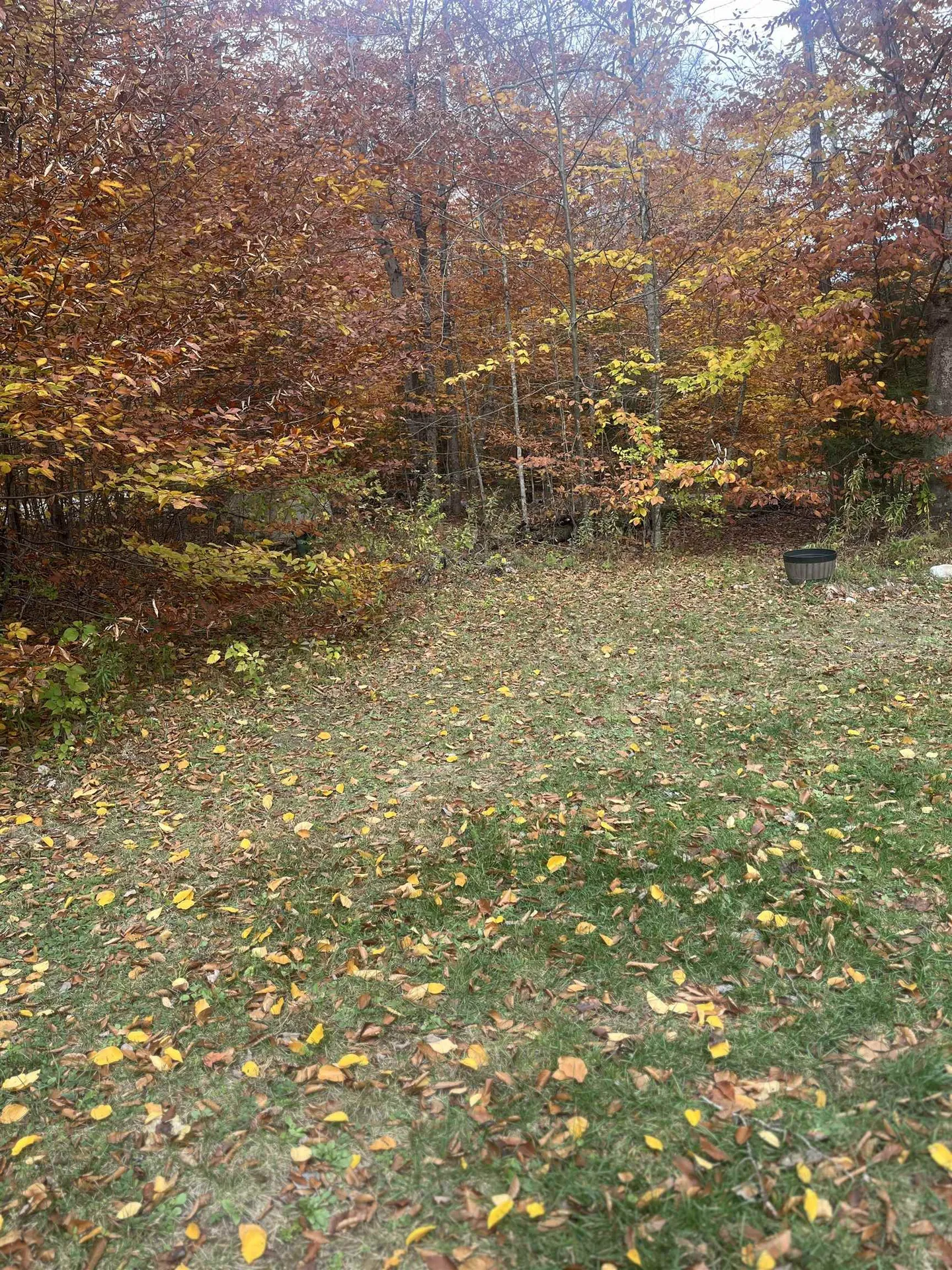 114 Colebrook Road Arlington VT 05252