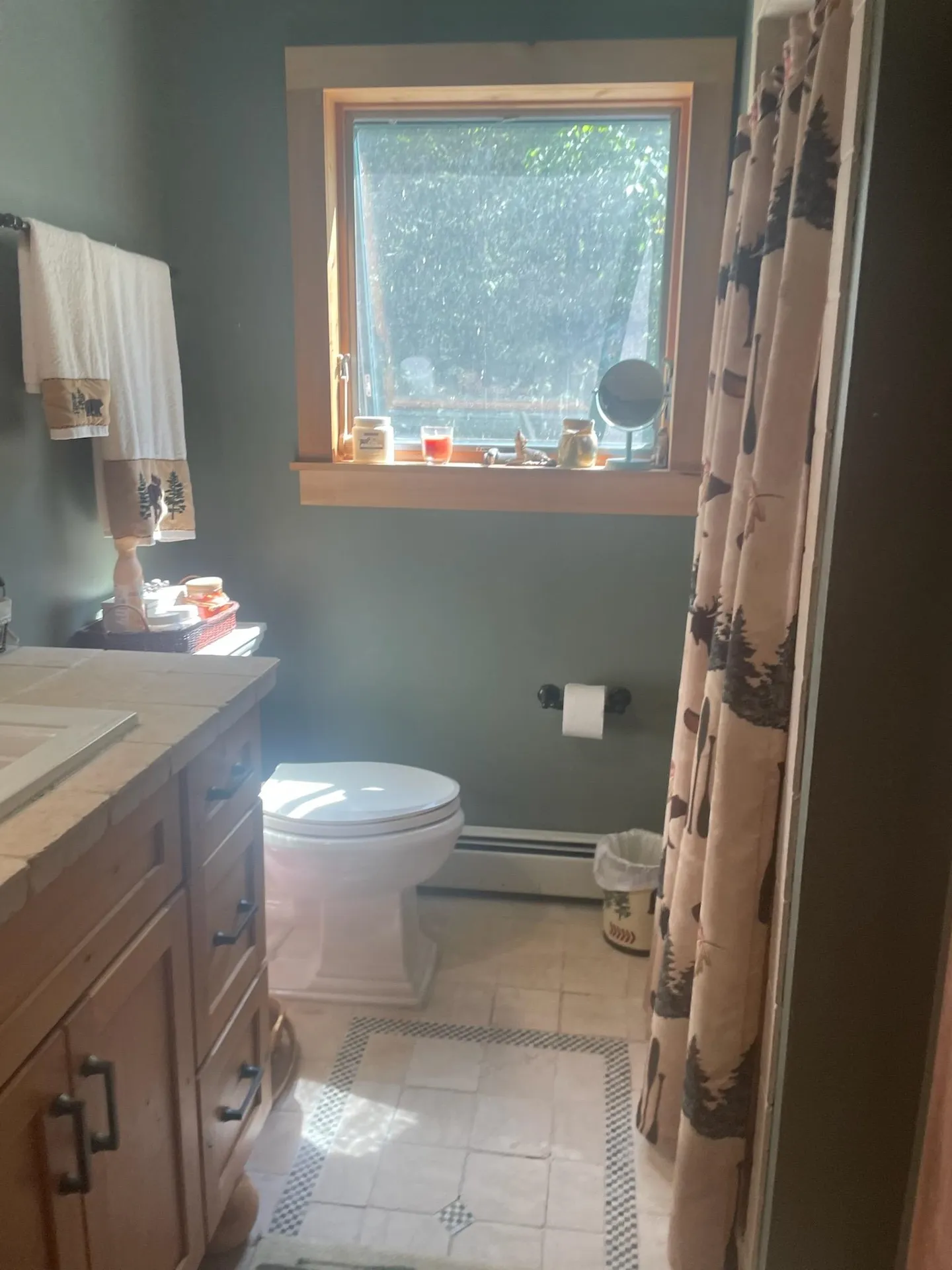 114 Colebrook Road Arlington VT 05252