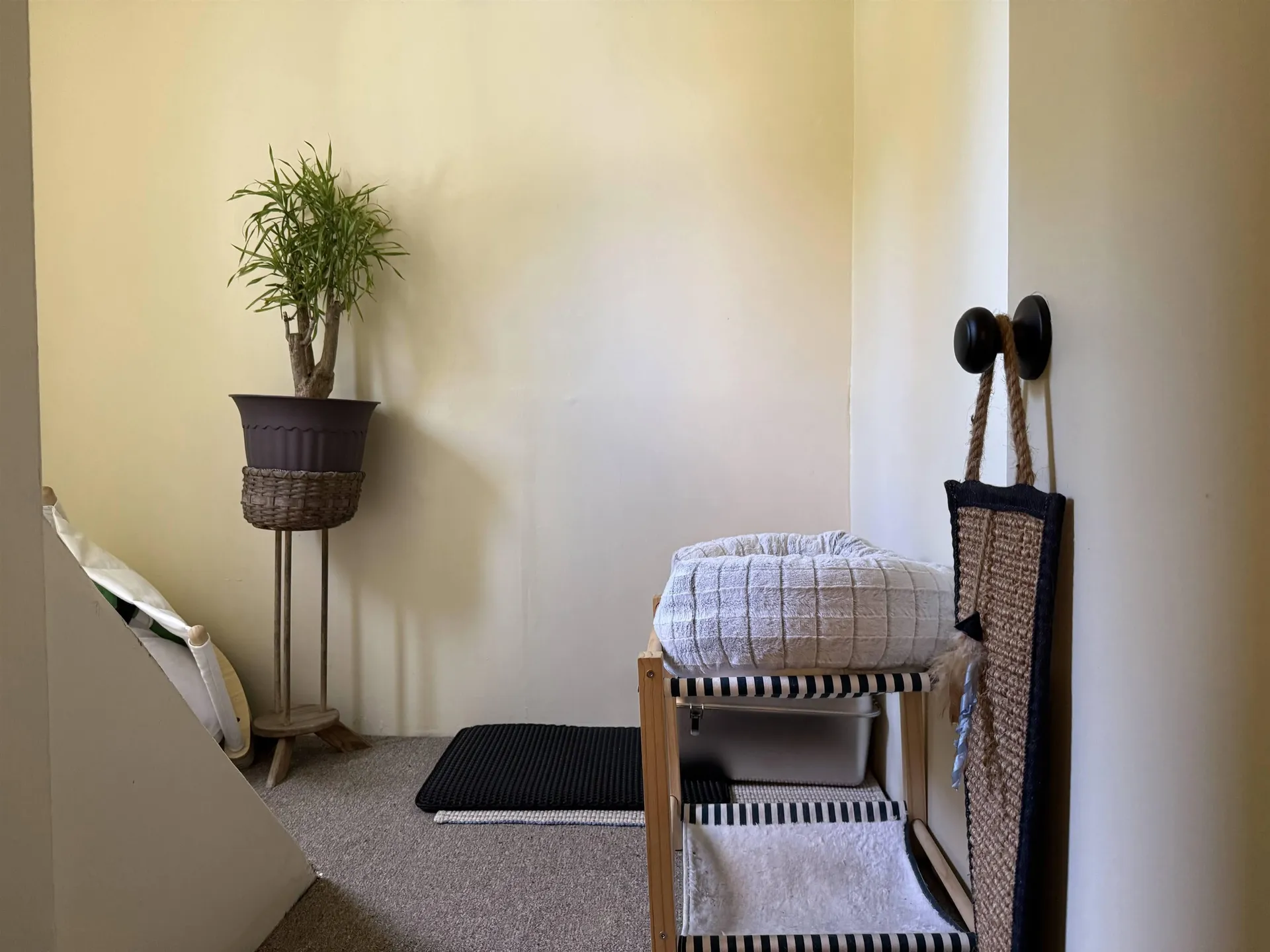 36 Clymer Street Burlington VT 05401