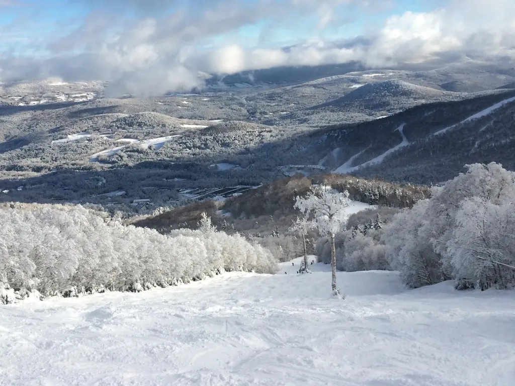 76 Sugarbush Village Drive Warren VT 05674