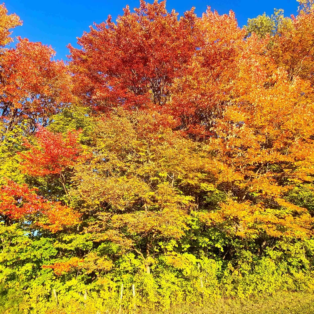 3325 Mud City Loop Morristown VT 05661