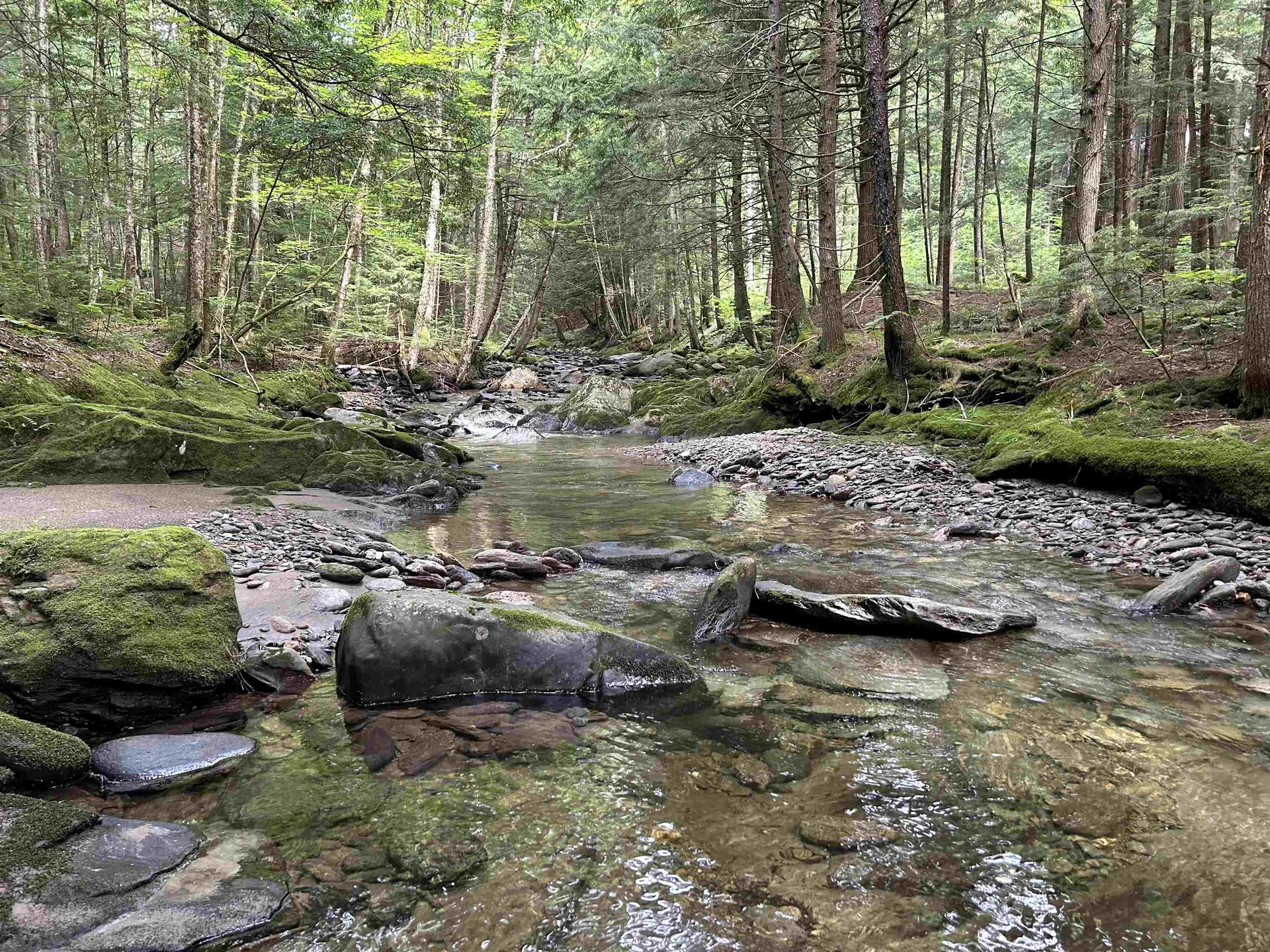 3325 Mud City Loop Morristown VT 05661