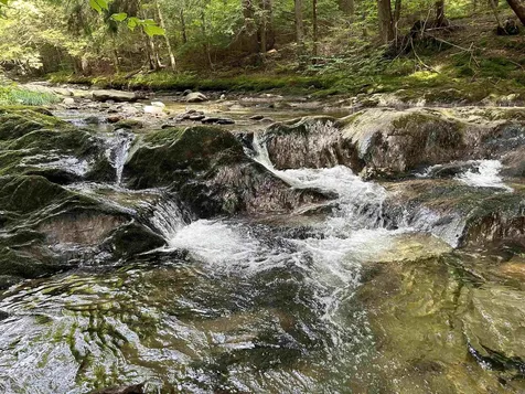 3325 Mud City Loop Morristown VT 05661