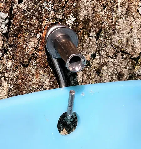 3325 Mud City Loop Morristown VT 05661