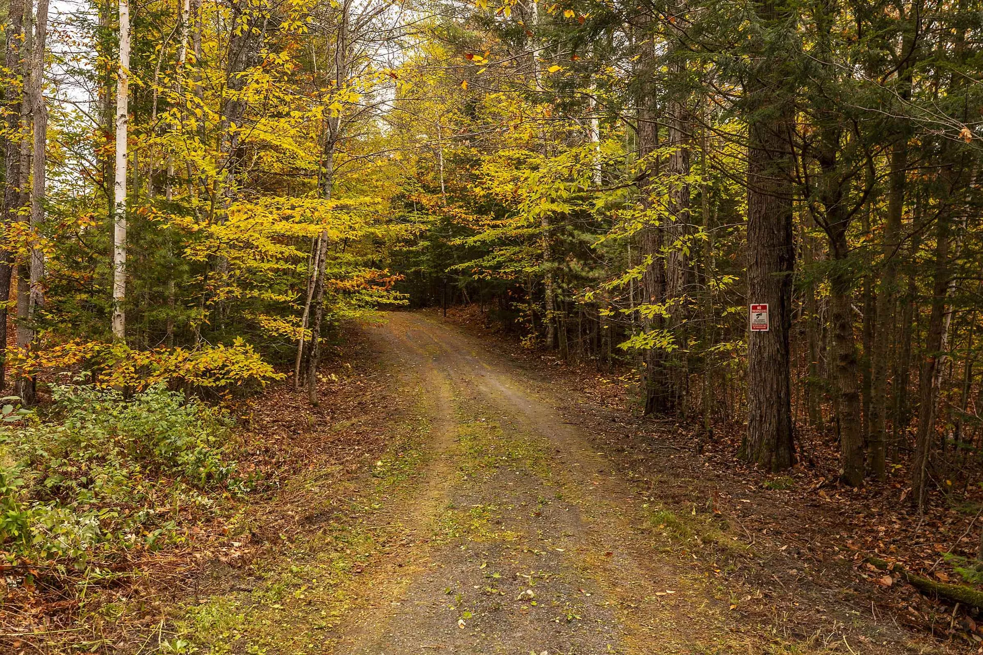 260 Mansfield Lane Londonderry VT 05148