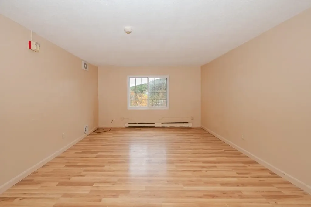 30 Beech Street Bristol NH 03222-3067