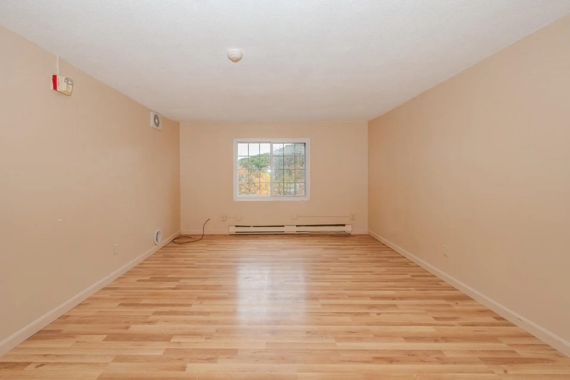 30 Beech Street Bristol NH 03222-3067