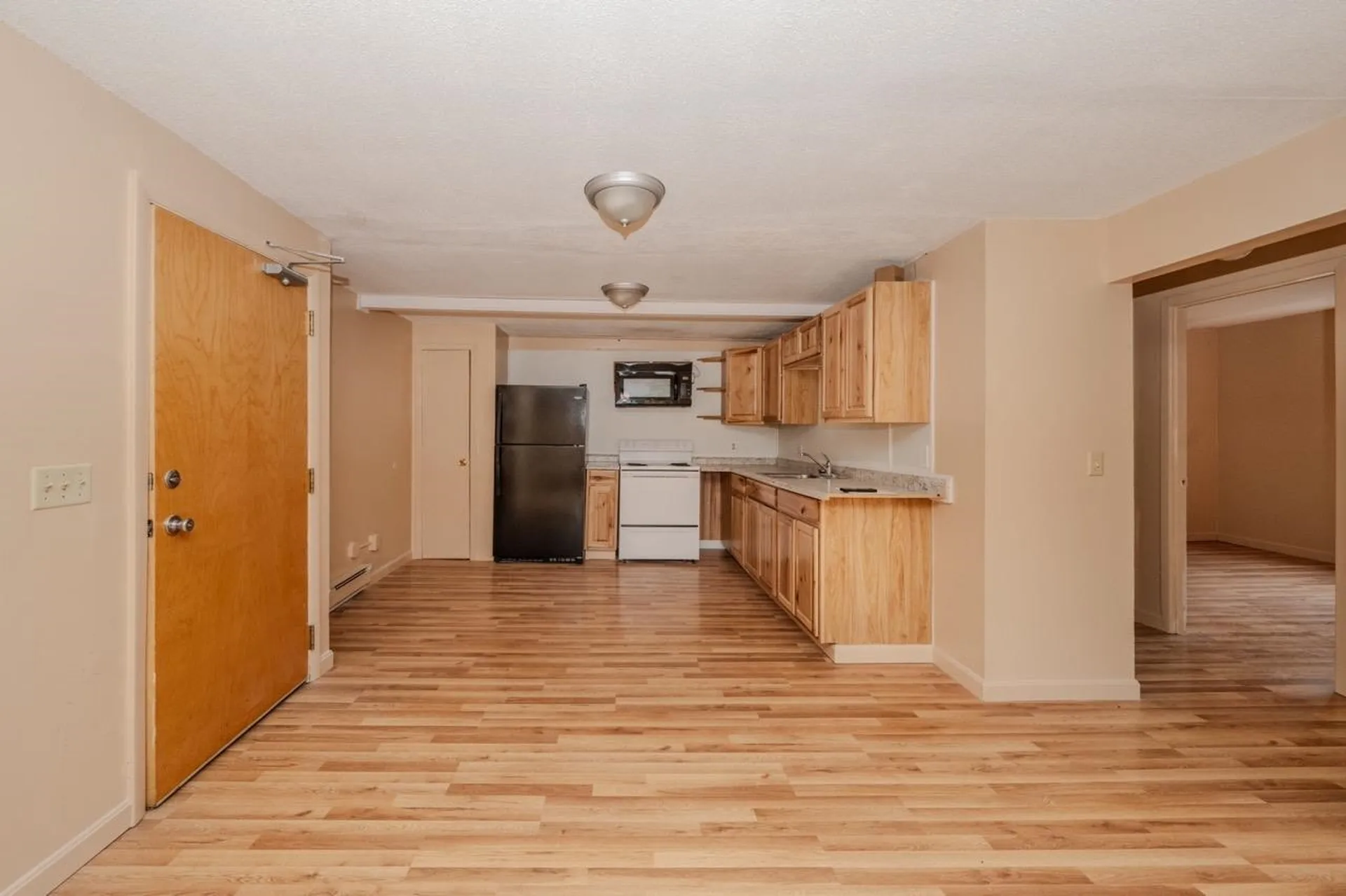 30 Beech Street Bristol NH 03222-3067