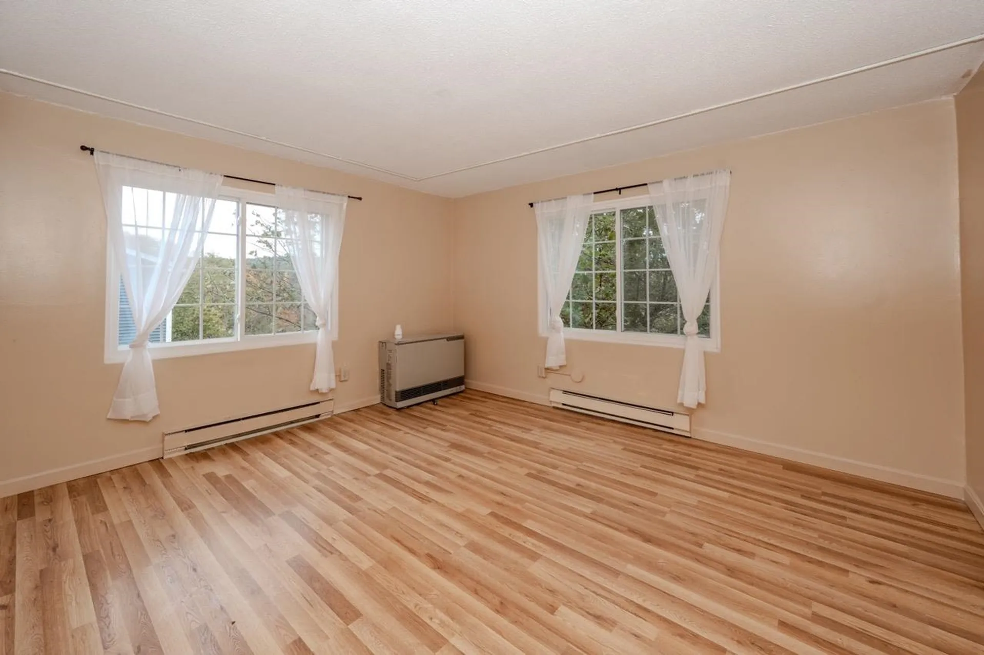 30 Beech Street Bristol NH 03222-3067