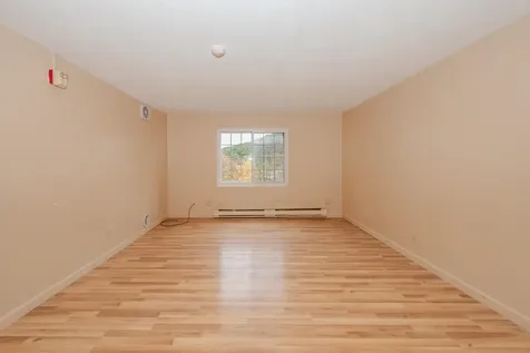 30 Beech Street Bristol NH 03222-3067