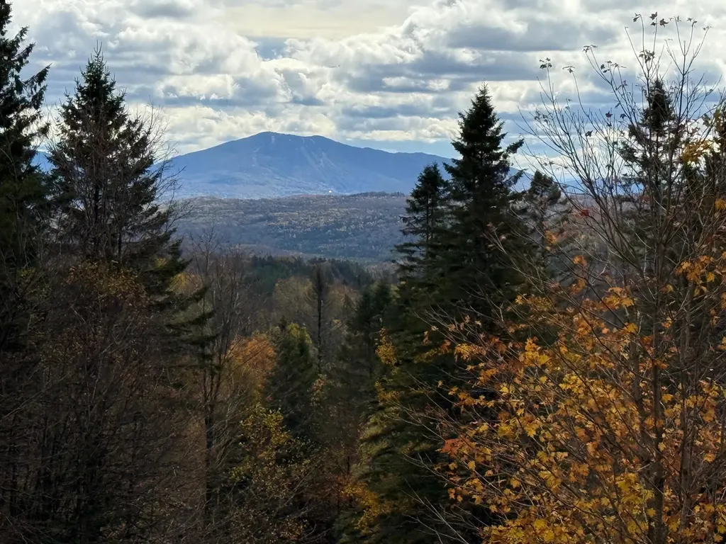 397 Mountain View Road Newark VT 05871