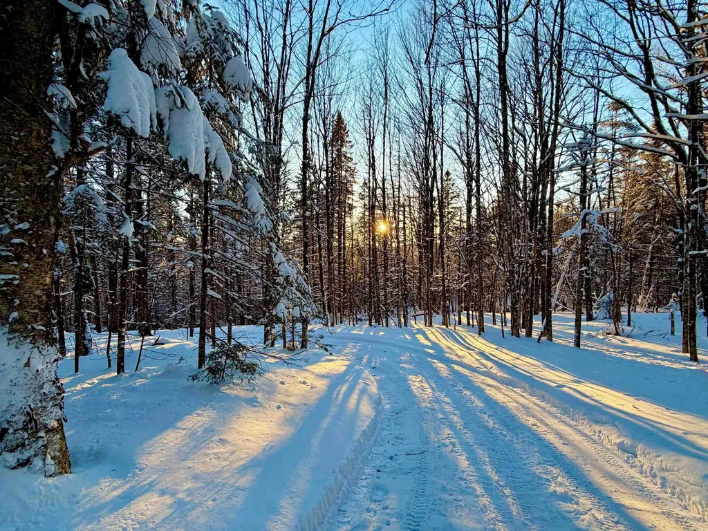 397 Mountain View Road Newark VT 05871