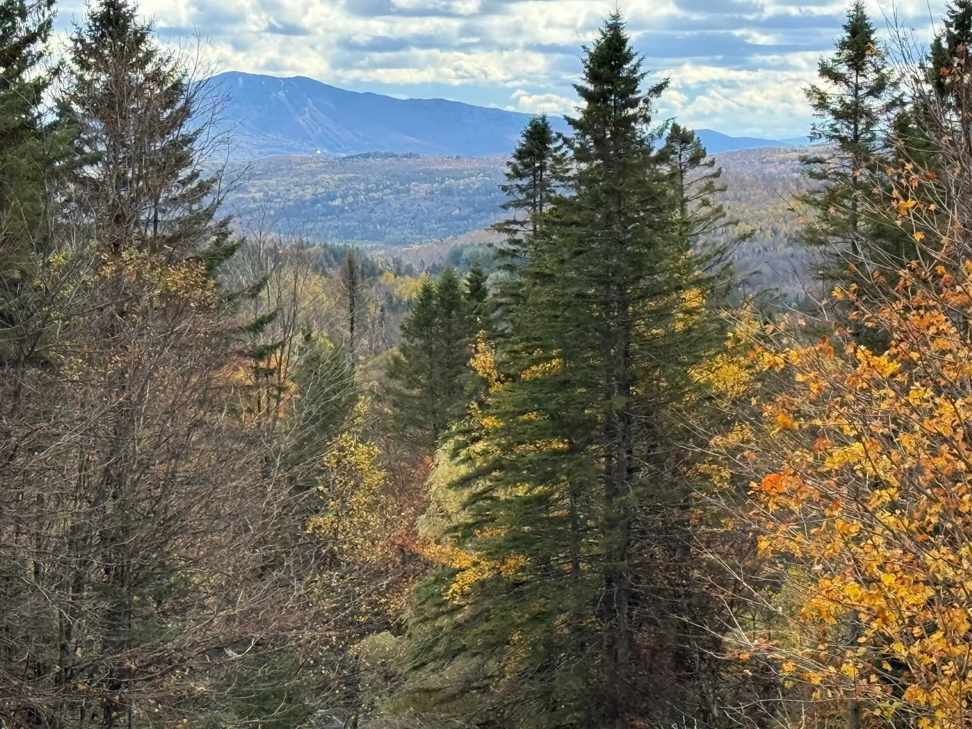 397 Mountain View Road Newark VT 05871