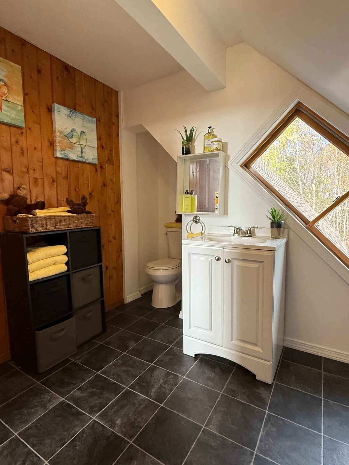 397 Mountain View Road Newark VT 05871