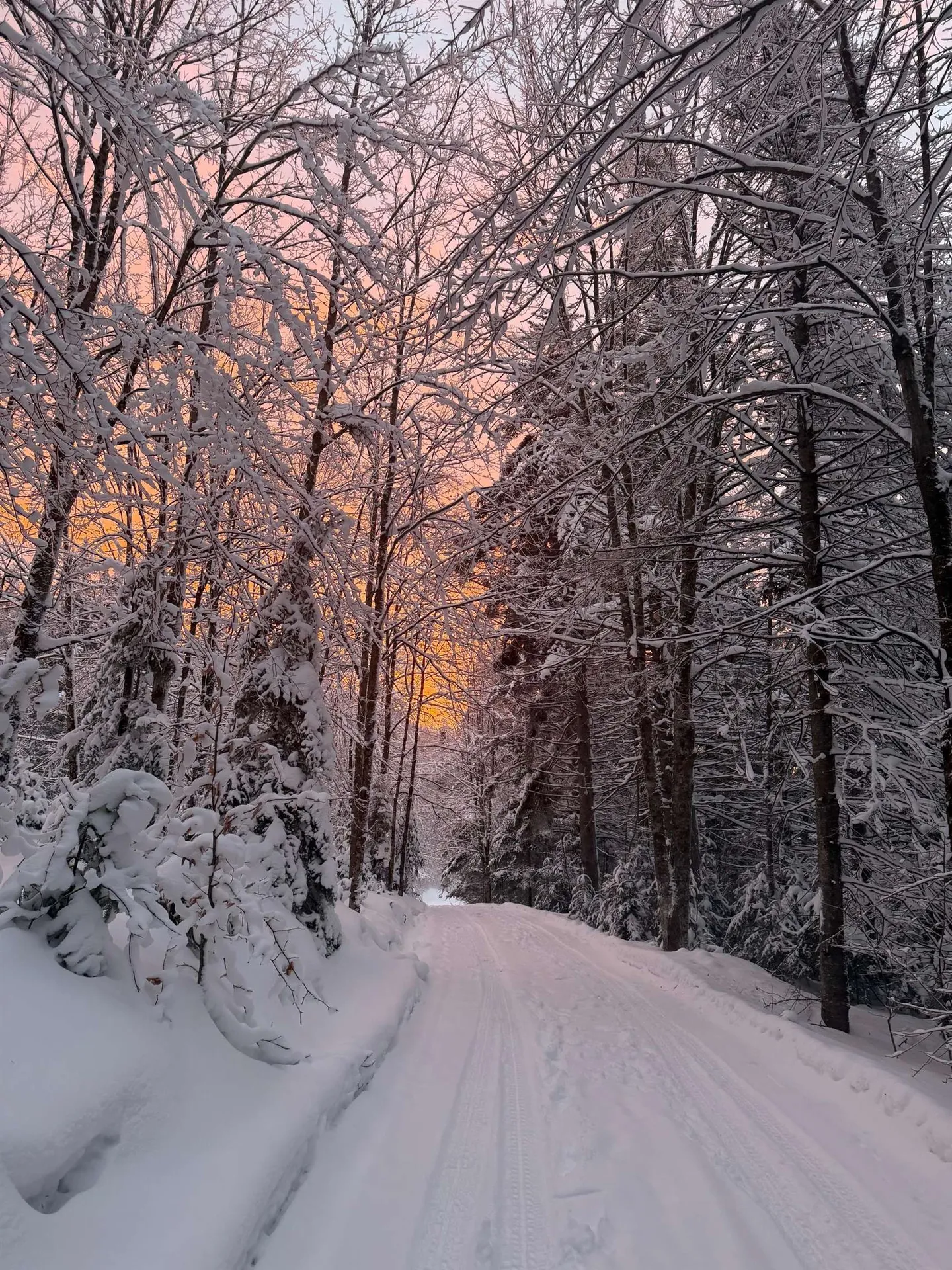 397 Mountain View Road Newark VT 05871