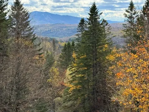 397 Mountain View Road Newark VT 05871