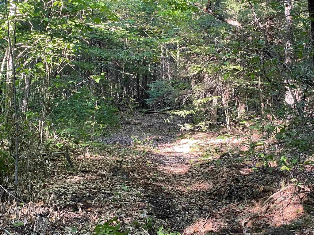 Turnpike Road South Thetford VT 05074