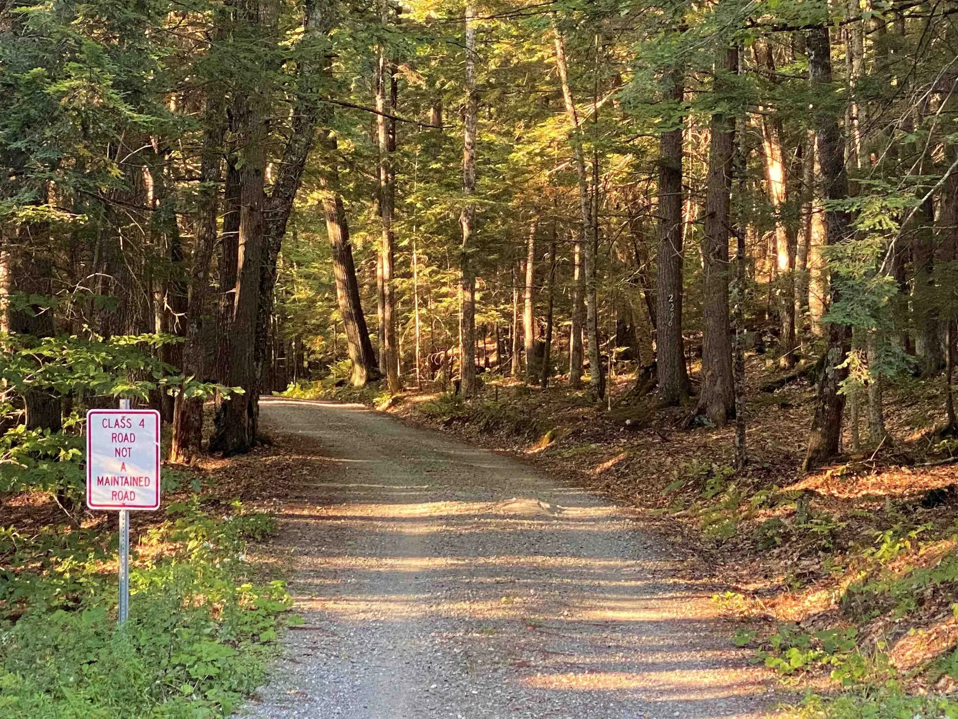 Turnpike Road South Thetford VT 05074