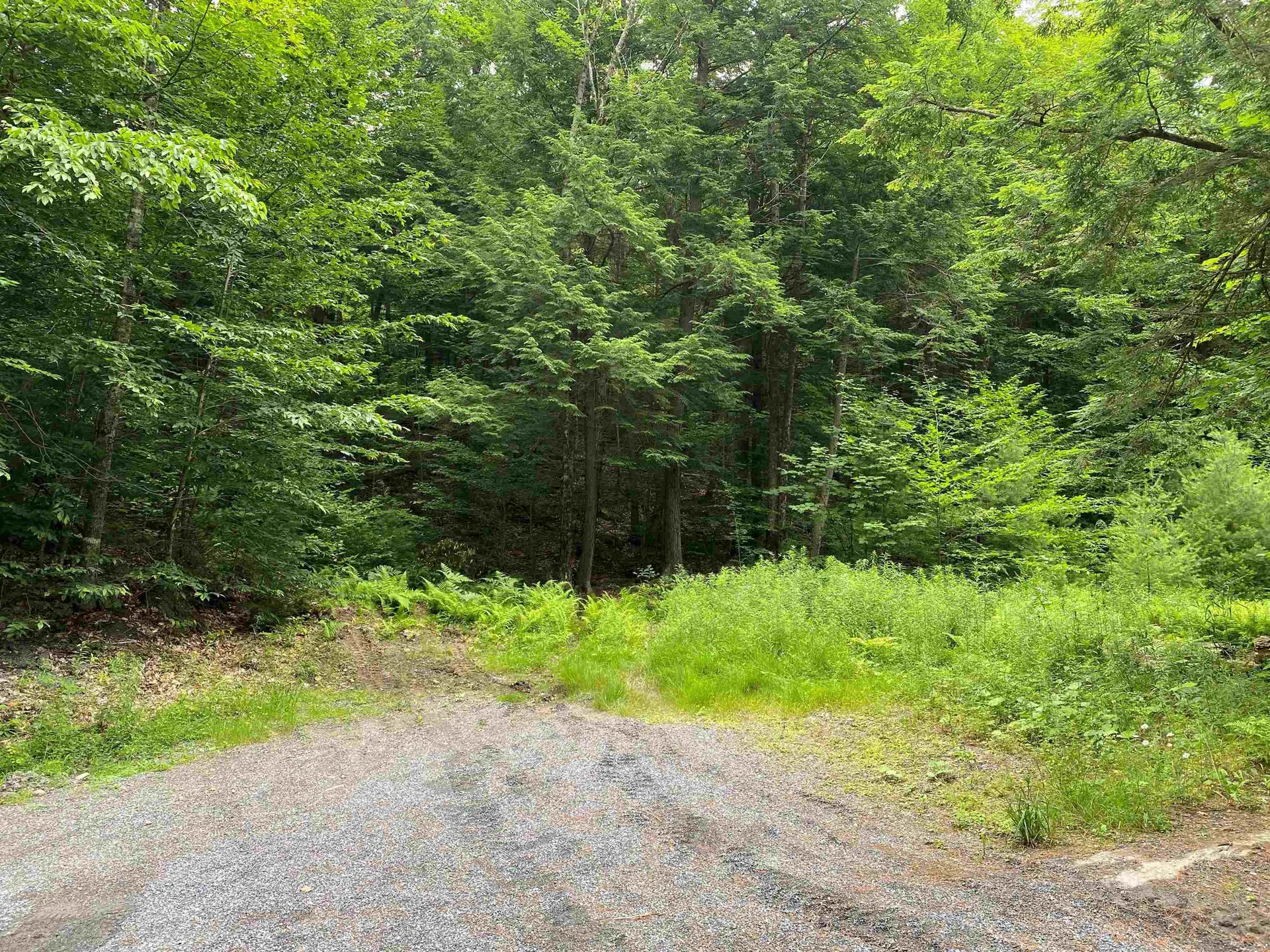 Turnpike Road South Thetford VT 05074