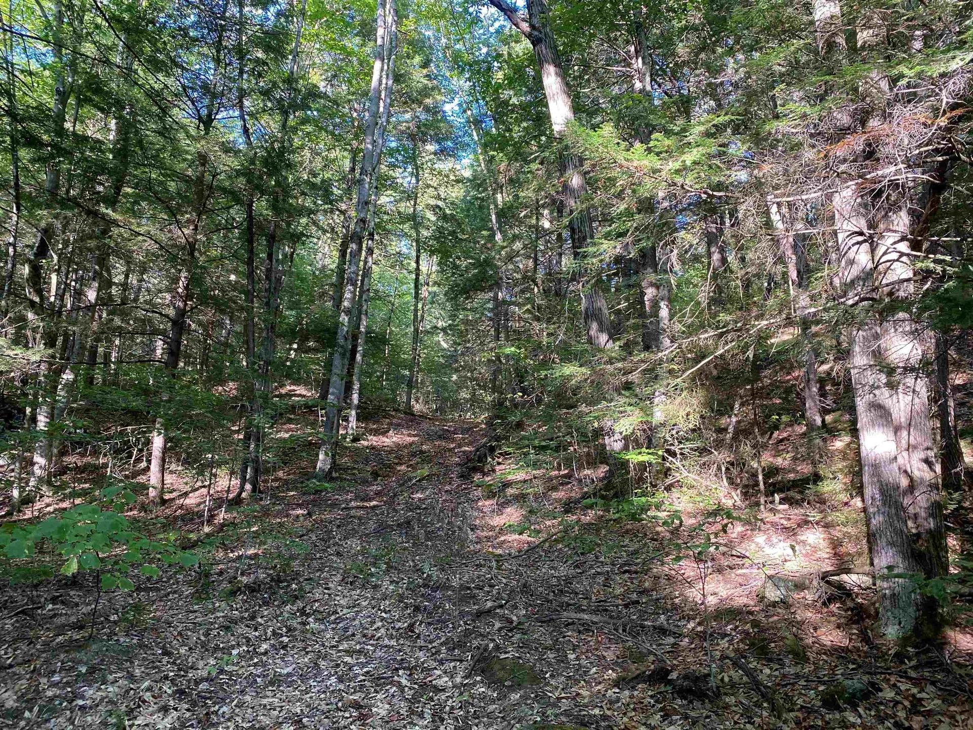 Turnpike Road South Thetford VT 05074