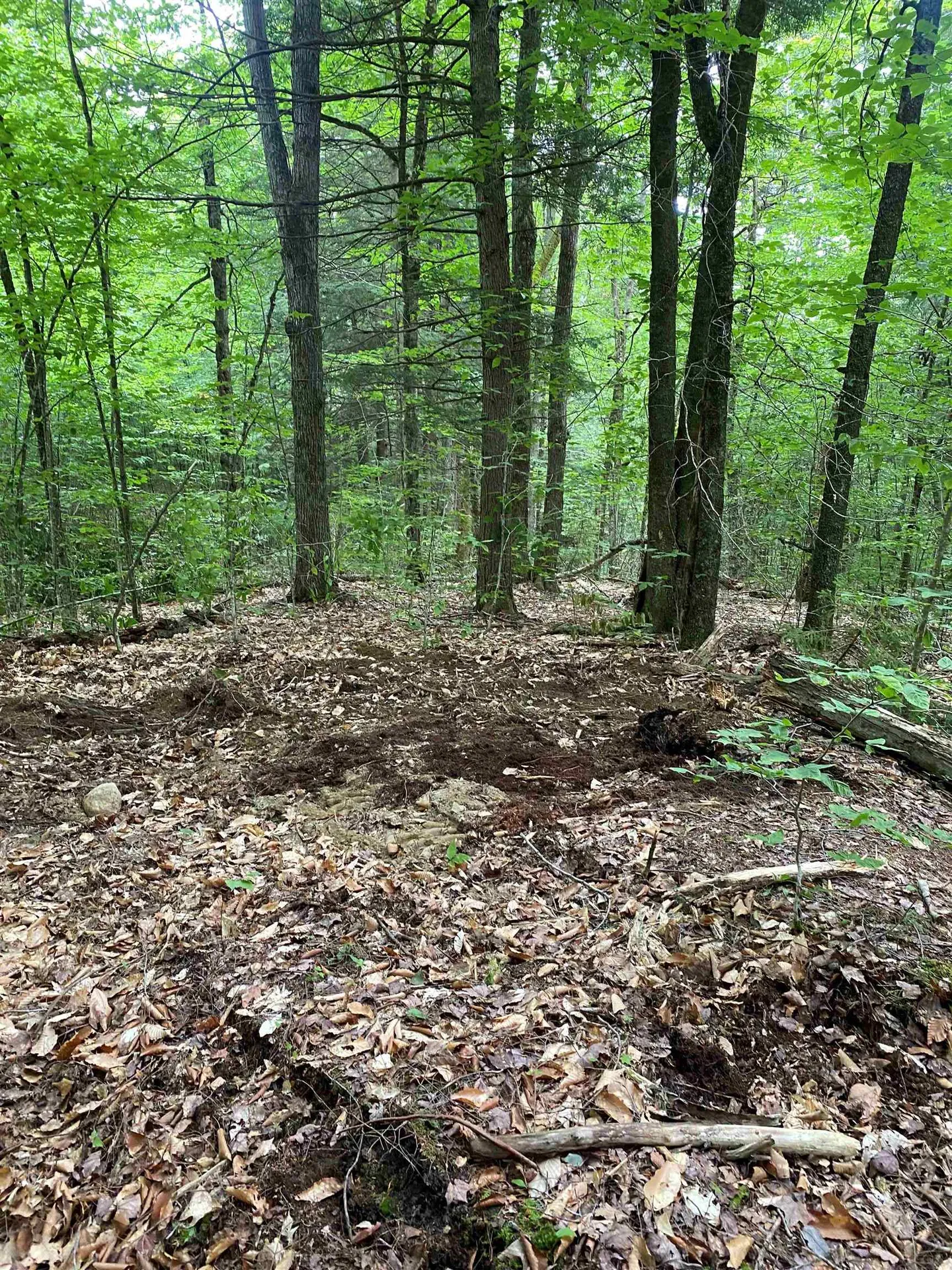 Turnpike Road South Thetford VT 05074